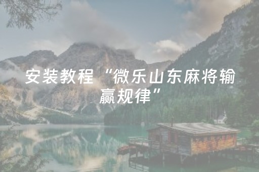 教程辅助“边锋干瞪眼辅助器免费”（详细透视教程）-哔哩哔哩