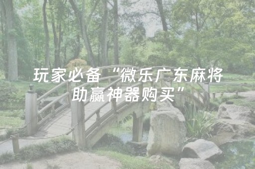玩家必看攻略“微乐山西麻将助赢神器可试用（专用辅牌神器免安装）