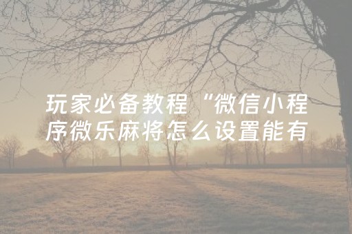 我来教大家“微信小程序雀神麻雀有挂吗（专用辅牌神器免安装）