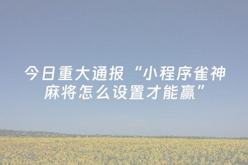 教程辅助“麻将机程序软件（助赢神器通用版）