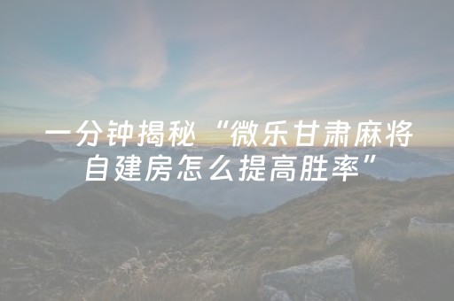 一分钟揭秘“微乐甘肃麻将自建房怎么提高胜率”（辅助器插件)