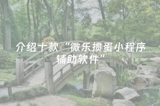 介绍十款“微乐掼蛋小程序辅助软件”（软件出售)