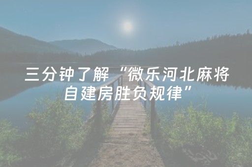 分享辅助“兴动麻将漏宝秘籍（专用辅牌神器免安装）