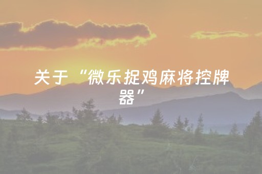 终于发现了“家乡大贰辅助器（专用辅牌神器免安装）