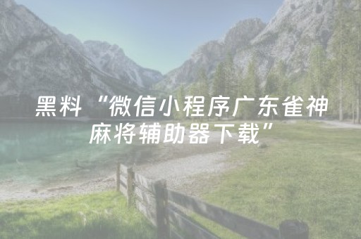 3分钟学会“雀神微信小程序包赢（专用辅牌神器免安装）