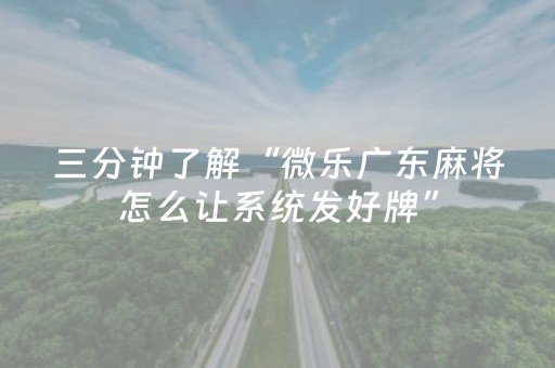 终于发现了“最新免安装程序麻将机（助赢神器通用版）