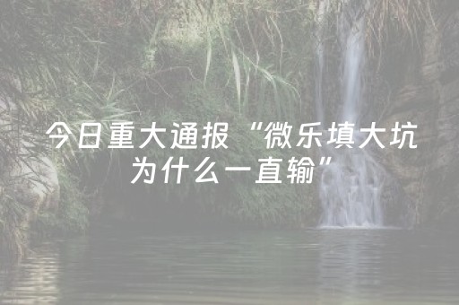 终于发现“程序麻将机检测仪（专用辅牌神器免安装）