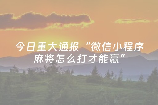 实测结果“微乐广西麻将助赢神器”（详细透视教程）-哔哩哔哩