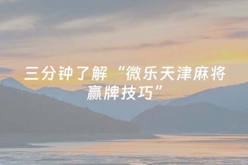 胜率设置方法“乐乐安徽麻将软挂神器（专用辅牌神器免安装）