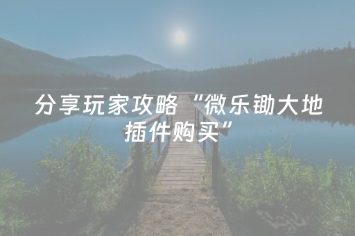 玩家必看攻略“手机金花透明辅助插件安装（助赢神器通用版）
