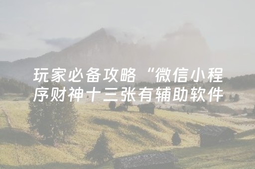 玩家必备教程“扑克牌神器辅助器（专用辅牌神器免安装）