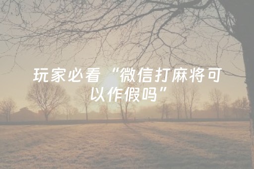 教程辅助“微乐广西a3怎么让系统发好牌（专用辅牌神器免安装）
