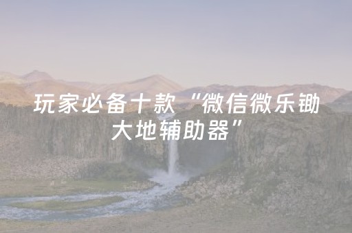 玩家必备十款“微信微乐锄大地辅助器”（透明挂辅助器)