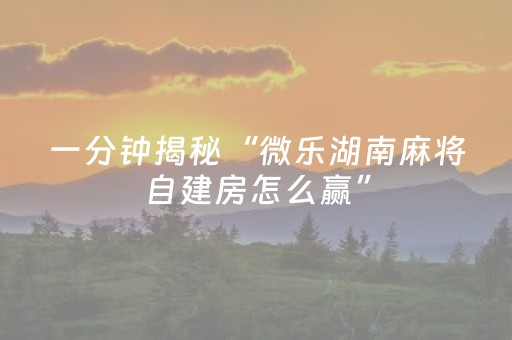 我来教大家“多乐跑胡子有挂吗（专用辅牌神器免安装）
