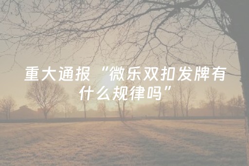 实测辅助“微乐麻将系统发牌规律（专用辅牌神器免安装）
