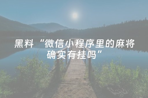 实测辅助“手机十三张数据刷分”（详细透视教程）-哔哩哔哩