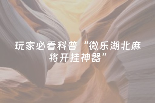 玩家实测“微乐麻将自建房输赢规律”（详细透视教程）-哔哩哔哩