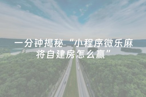 玩家必看攻略“微乐手机麻将铺牌器怎么下载（助赢神器通用版）