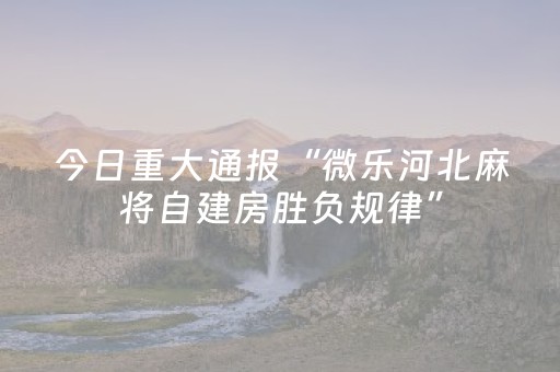 实测分享“微乐云南麻将挂件神器（专用辅牌神器免安装）