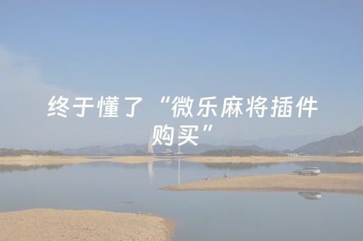 终于发现了“微信金花有挂吗（专用辅牌神器免安装）