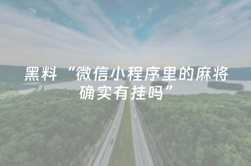 教程辅助“手机麻将提高胜率方法（专用辅牌神器免安装）