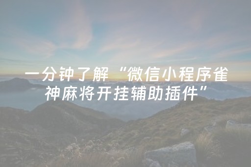 今日实测“小程序微乐麻将系统出牌规律”（详细透视教程）-哔哩哔哩