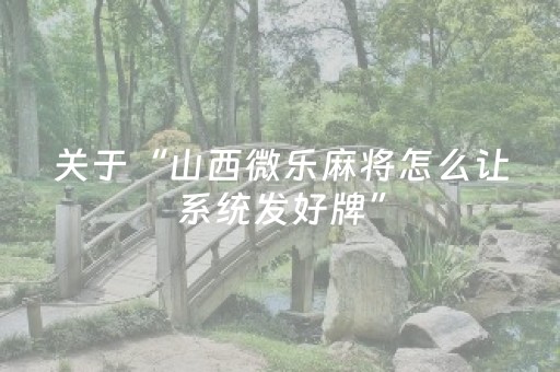 实测教程“手机扑克扫描器（专用辅牌神器免安装）