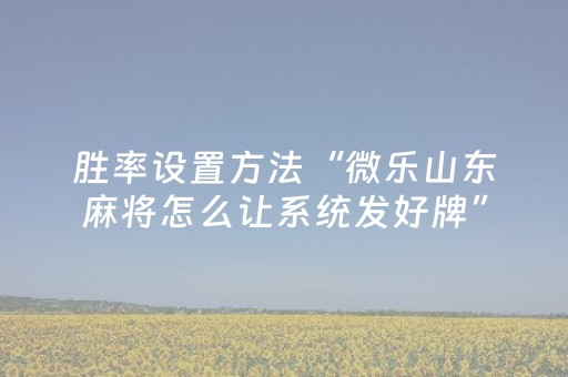 玩家实测“微乐安徽麻将怎么提高胜率”（详细透视教程）-哔哩哔哩