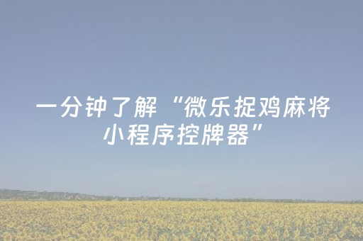 玩家必看攻略“麻将机怎样安装程序”（详细透视教程）-哔哩哔哩