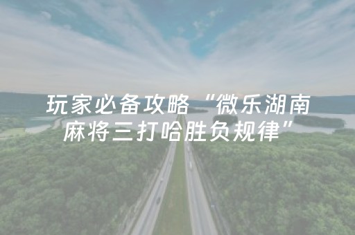实测辅助“微信小程序微乐麻将修改器（专用辅牌神器免安装）
