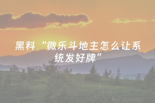 终于发现了“微乐内蒙麻将专用神器（专用辅牌神器免安装）