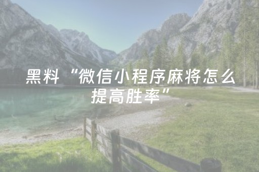 我来教大家“手机微乐麻将挂上去”（详细透视教程）-哔哩哔哩
