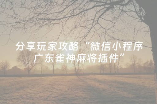分享玩家攻略“微信小程序广东雀神麻将插件”（开挂辅助插件)