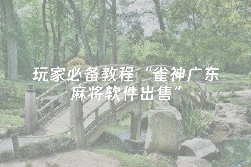 玩家必备教程“雀神广东麻将软件出售”（控牌神器)