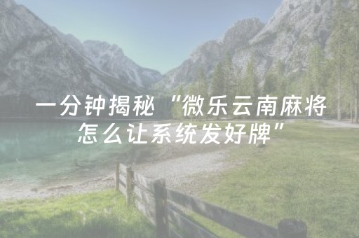 终于发现“微信小程序麻将插件免费（助赢神器通用版）