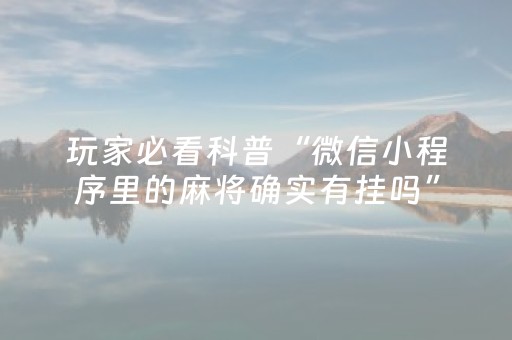 实测辅助“小程序麻将怎么设置才能赢（助赢神器通用版）