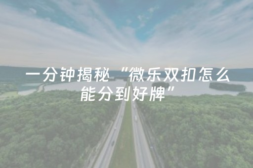 教程辅助“微乐捉鸡麻将控牌器（助赢神器通用版）