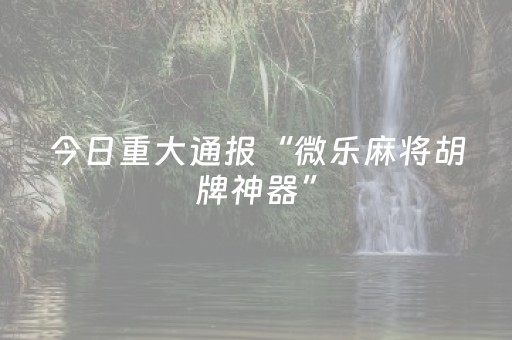 玩家必看攻略“胡乐麻将胡牌神器（专用辅牌神器免安装）