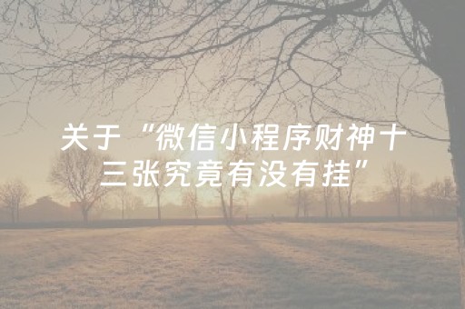 玩家必备教程“手机拼三张辅助器（专用辅牌神器免安装）
