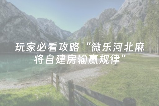 实测辅助“微乐家乡麻将助赢神器直播（助赢神器通用版）