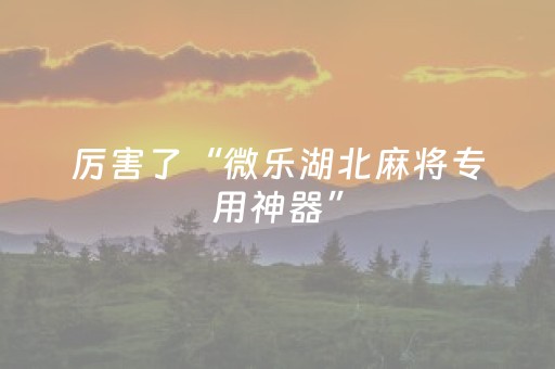 终于发现“途游四川麻将辅助器（专用辅牌神器免安装）