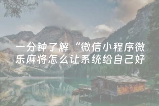 玩家必备教程“微乐河南麻将斗地主助赢神器购买（助赢神器通用版）