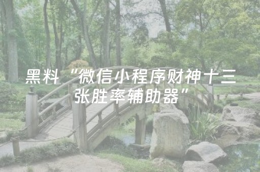 终于发现了“微乐开挂会被检测吗（专用辅牌神器免安装）