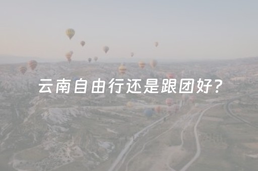 云南自由行还是跟团好?（云南旅游跟团还是自由行好）