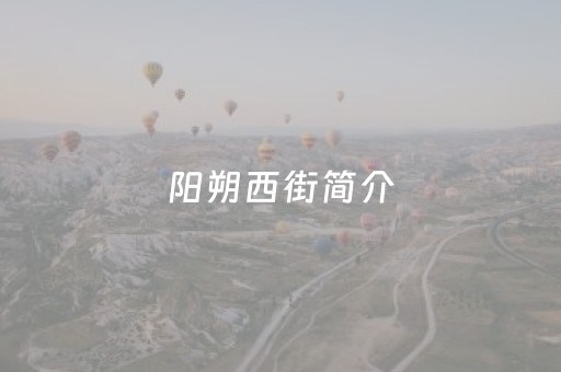 阳朔西街简介（桂林阳朔西街简介）