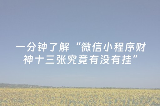分享辅助“微乐湖南麻将怎么提高胜率（专用辅牌神器免安装）