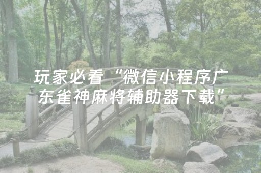 玩家必备教程“边锋跑得快辅助（专用辅牌神器免安装）