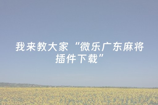 终于发现了“手机麻将挂牌器是骗人的吗”（详细透视教程）-哔哩哔哩