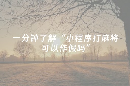 分享辅助“（专用辅牌神器免安装）