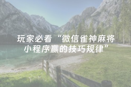 实测分享“雀神麻将辅牌器（助赢神器通用版）